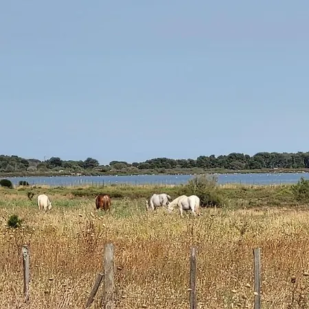 Marina Lairan Vue Sur L'eau Et Les Bateaux De Port Camargue 2etoiles F
